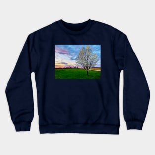 Pear Tree Sunset Crewneck Sweatshirt